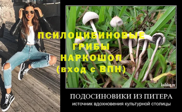 дживик Беломорск