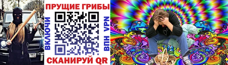 Псилоцибиновые грибы ЛСД  магазин    Афипский 
